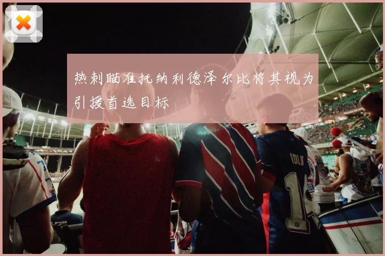 热刺瞄准托纳利德泽尔比将其视为引援首选目标