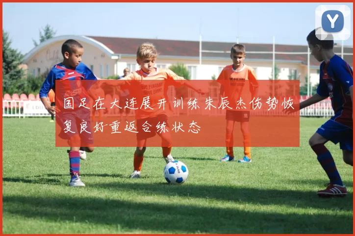 国足在大连展开训练朱辰杰伤势恢复良好重返合练状态