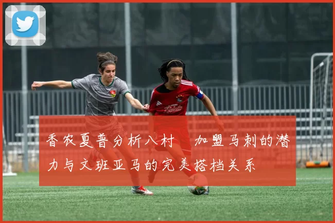 香农夏普分析八村塁加盟马刺的潜力与文班亚马的完美搭档关系